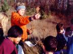 Teaching Tree ID